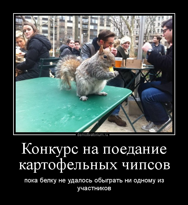 Если на конкурс вышел один участник Если на конкурс вышел один участник