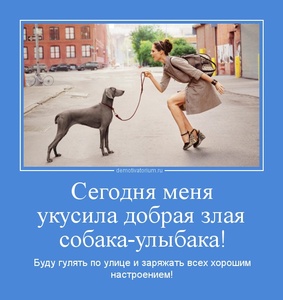 http://demotivatorium.ru/sstorage/3/2012/03/tmb_1103120843558834.jpg