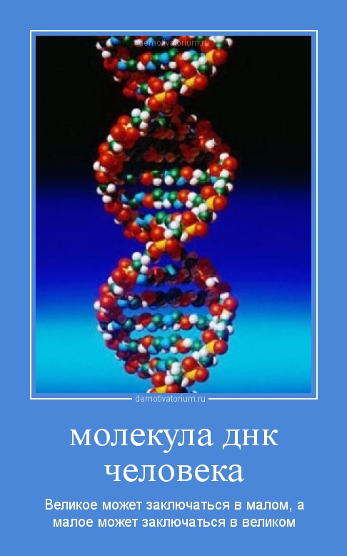 Скрещивание днк в домашних условиях