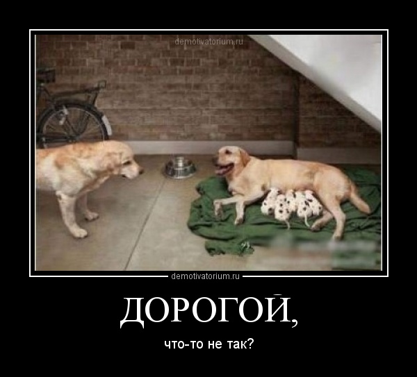 http://demotivatorium.ru/sstorage/3/2012/05/3105122004563038.jpg