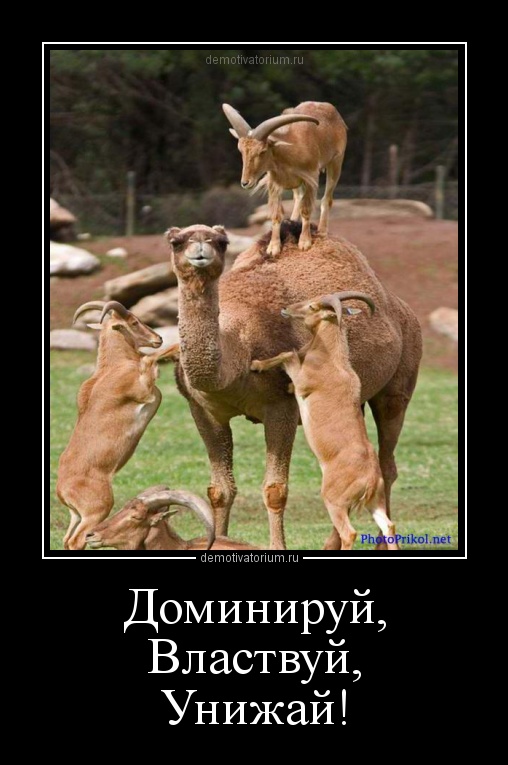 доминируй властвуй унижай картинки онлайн доминируй властвуй унижай картинки