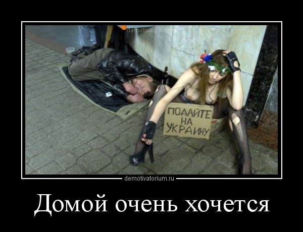 http://demotivatorium.ru/sstorage/3/2012/12/2012120121581471.jpg