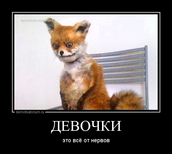 http://demotivatorium.ru/sstorage/3/2013/01/3001131346536787.jpg