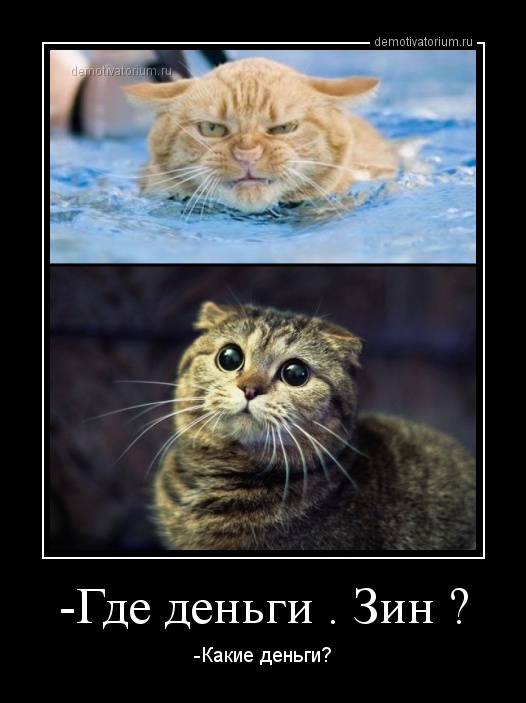 http://demotivatorium.ru/sstorage/3/2013/02/0802131456406263.jpg