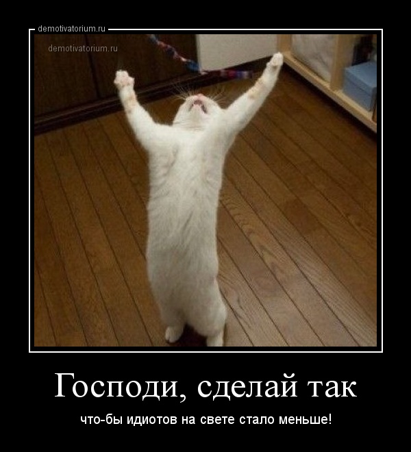 смешные картинки про идиотов онлайн смешные картинки про идиотов