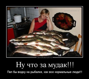 tmb_2703132354512746.jpg