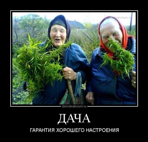����������� ����� �������� �������� ���������߻