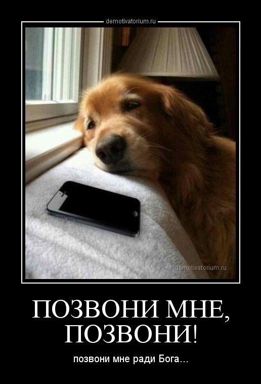 http://demotivatorium.ru/sstorage/3/2013/08/05140346344146/0508131403469737.jpg