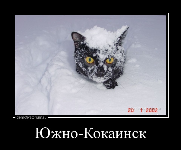 2009131847315645.jpg