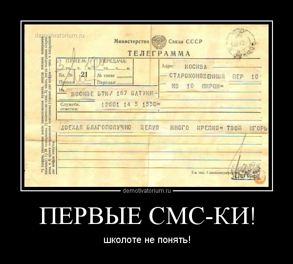 2611131947599859.jpg