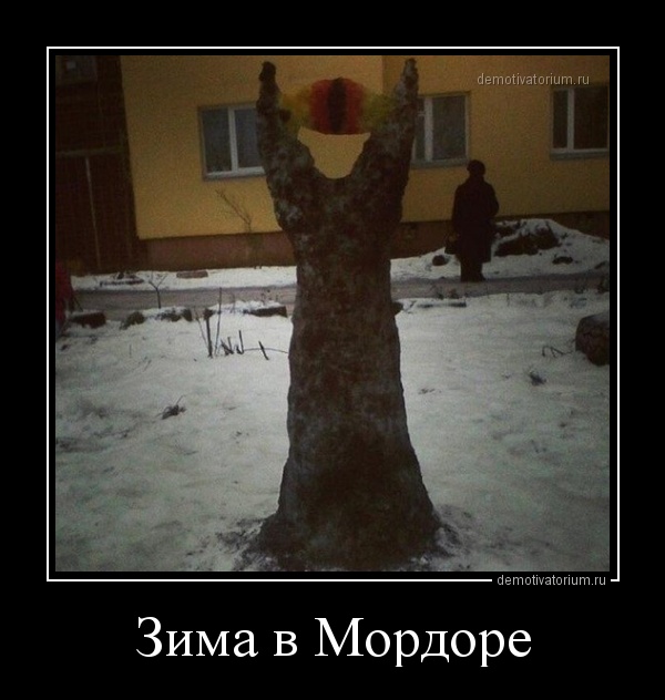 demotivatorium_ru_zima_v_mordore_37448.jpg