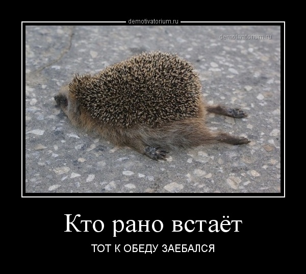 http://demotivatorium.ru/sstorage/3/2014/01/30075345487475/demotivatorium_ru_kto_rano_vstaet_38765.jpg