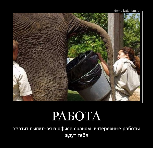 demotivatorium_ru_rabota_43361.jpg