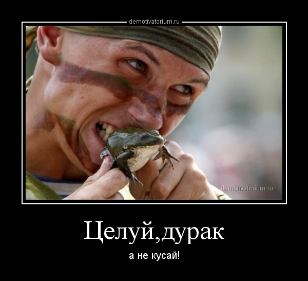 demotivatorium_ru_celujdurak_43908.jpg