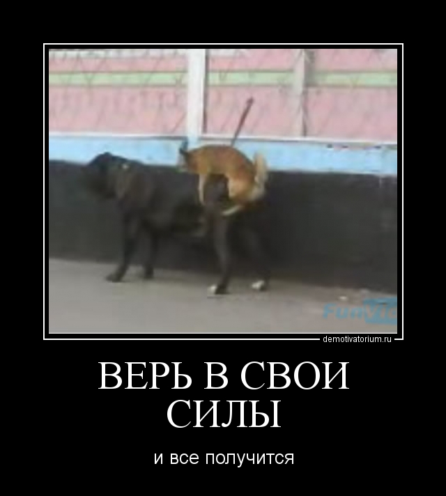 Верь в свои силы открытки, надписями прикольные