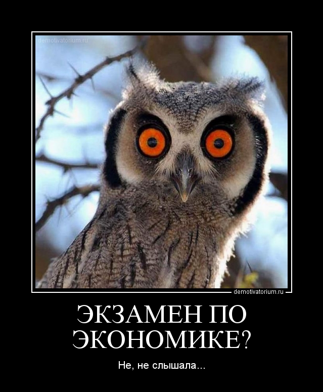 экзамен это демотиваторы моя