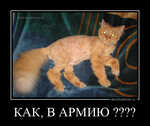 Демотиватор КАК, В АРМИЮ ????  - 2012-1-12