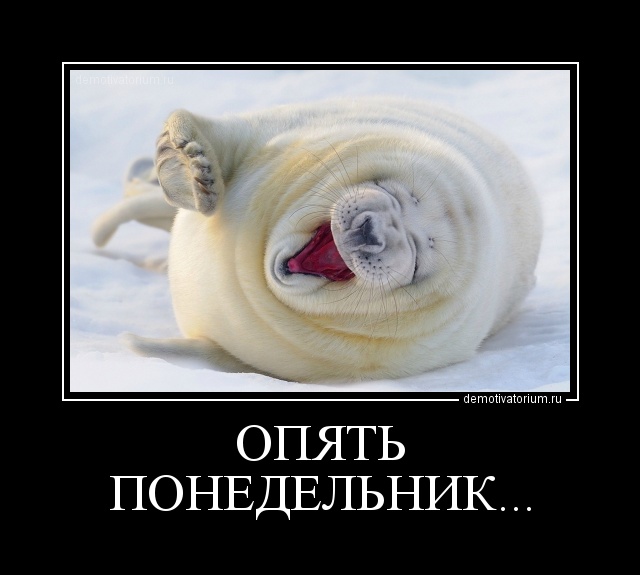 Прикольные картинки опять понедельник на работу