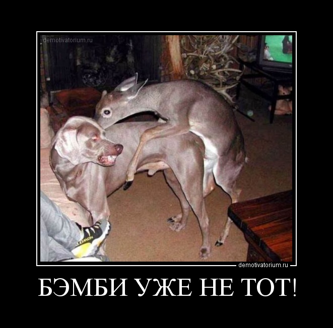 Боевой олень демотиваторы