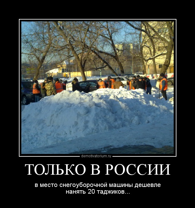Анимация, картинки с приколами таджиков