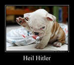 Демотиватор Heil Hitler 
