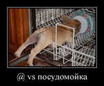 Демотиватор @ vs посудомойка  - 2012-3-05