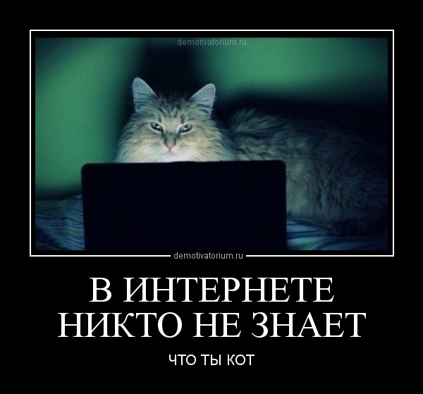 http://demotivatorium.ru/sstorage/3/2012/04/2304121243434256.jpg