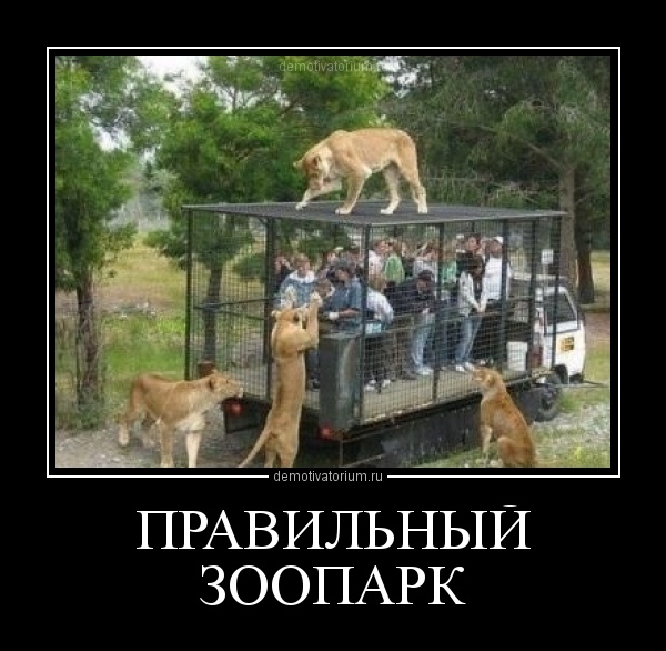 https://demotivatorium.ru/sstorage/3/2012/05/2405121019445648.jpg