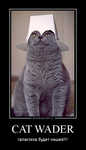 Демотиватор CAT WADER галактика будет нашей!!! - 2012-8-03