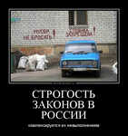 Демотиватор СТРОГОСТЬ ЗАКОНОВ В РОССИИ компенсируется их невыполнением - 2012-8-04