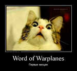 Демотиватор Word of Warplanes Первые эмоции