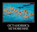 Демотиватор ОСТАНОВИСЬ МГНОВЕНИЕ  - 2012-8-13