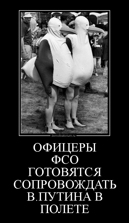 Приколы фсо картинки