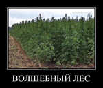 Демотиватор ВОЛШЕБНЫЙ ЛЕС  - 2012-9-04