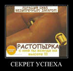 Демотиватор СЕКРЕТ УСПЕХА  - 2012-9-04