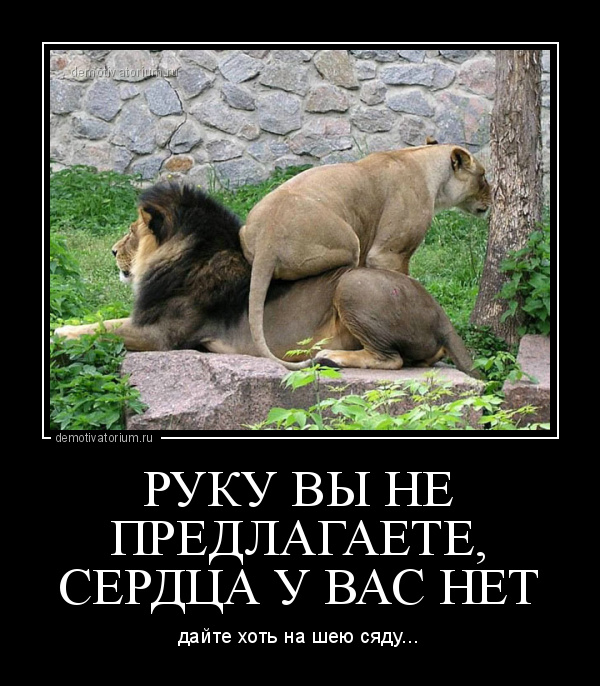 демотиватор РУКУ ВЫ НЕ ПРЕДЛАГАЕТЕ, СЕРДЦА У ВАС НЕТ дайте хоть на шею сяду... - 2012-9-07