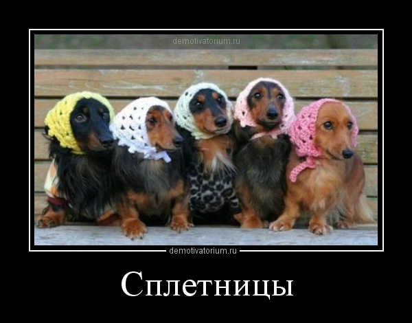 демотиватор по сплетнице вас