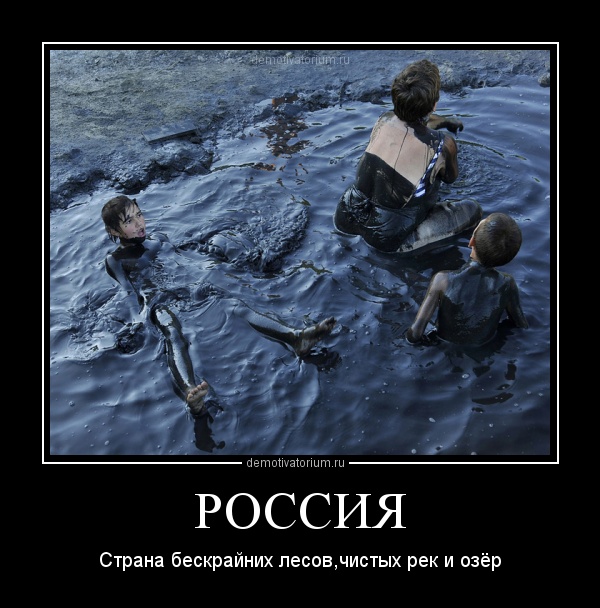 демотиваторы про рейтинг этот