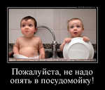 Демотиватор Пожалуйста, не надо опять в посудомойку!  - 2012-11-04