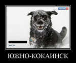 Демотиватор ЮЖНО-КОКАИНСК  - 2012-11-23