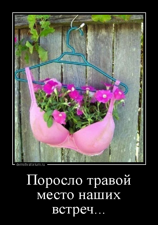 Поросло место наших встреч. Поросла любовь травой. Поросла любовь травой. Поросла любовь травой. Поросло травой место наших встреч прикол.