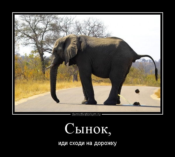 демотиватор идите работать становятся даже