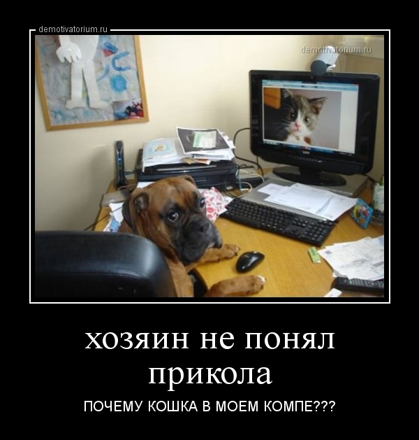 Картинки приколы мой компьютер