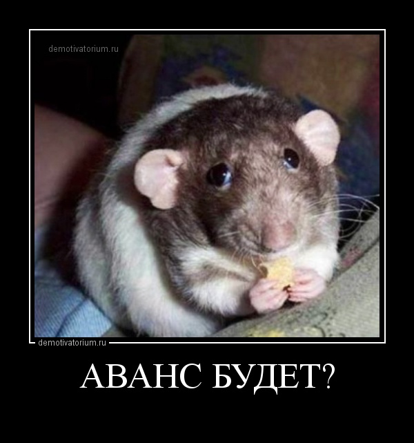 Прикольные картинки про аванс и зарплату когда иво ждут