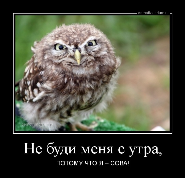 http://demotivatorium.ru/sstorage/3/2013/02/2402132112122207.jpg