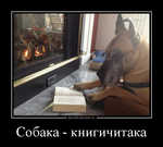Демотиватор Собака - книгичитака  - 2013-3-28