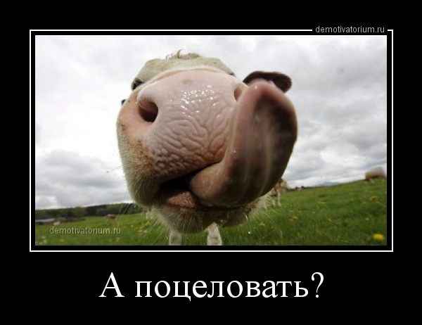 А поцеловать прикольные картинки