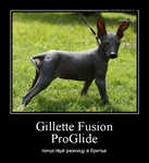 Демотиватор Gillette Fusion ProGlide почуствуй разницу в бритье