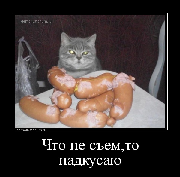 Смешные картинки не то что вы подумали