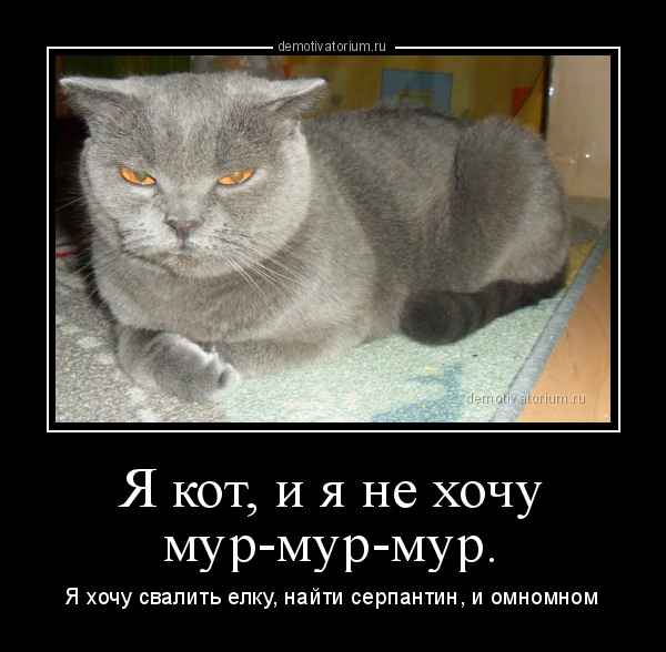 Включи мур. Кот Мур Мур. Котик Мур мяу. Я хочу Мур Мур. Я кот.
